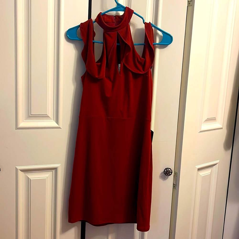 Express crimson dress